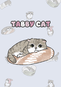 tabbycat10 / light alice blue