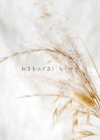 Natural Coffee time_40