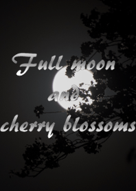 Full moon and cherry blossoms