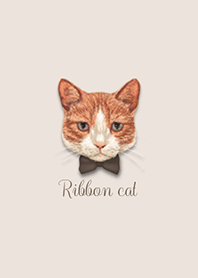 Ribbon cat -Red tabby and white-
