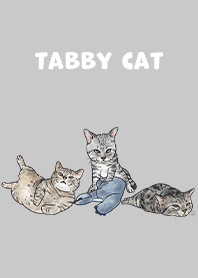 tabbycat5 - grey