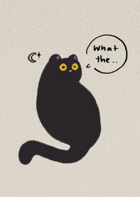 Luna the black cat with attitude