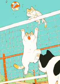 Cats play volleyball 1