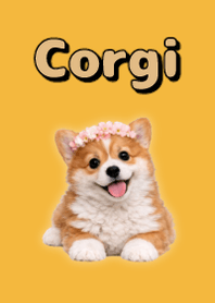 玩偶風柯基 2 Yellow 03