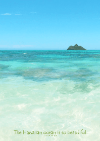 Hawaiian ocean is so beautiful -shell-37