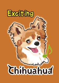 Exciting Chihuahua