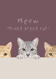 Meow-Mixed breed cat 03-DUSTY ROSE