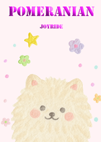 Pomeranian pink