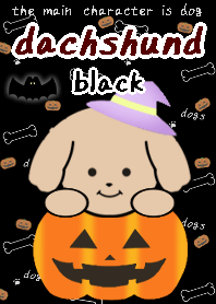 Halloween dachshund theme black