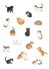 ภาพประกอบแมวสุดน่ารัก_a9