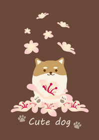 Cute Shiba Inu - ดอกไม้