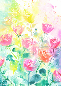 Beautiful rose flower(R1103)