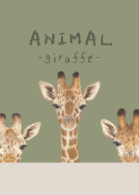 ANIMAL - Giraffe - OLIVE
