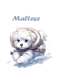 秋と冬のマルチーズ犬トビー-JP