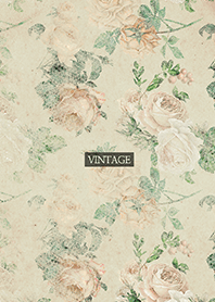 AHNs antique 012