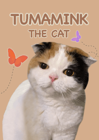 ตูมามิ้ง ( Tumamink.thecat )