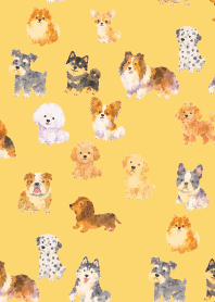 Is my dog here? 01 light yellow