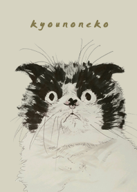 今日の猫