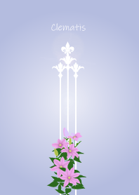 July's birth flower,Clematis