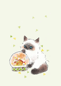 Himalayan cat and snow globe theme