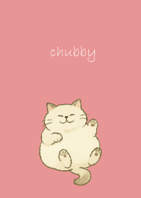 Chubby Cat2 on light pink