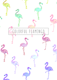 flamingo musim panas yang penuh warna WV