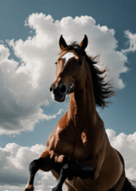 Auspicious Horse/Horse and blue sky