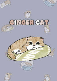 gingercat11 / mist purple