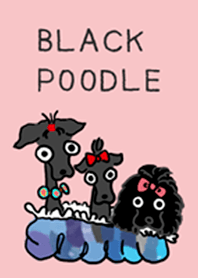 BLACK POODLE Theme