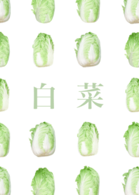 白菜 13