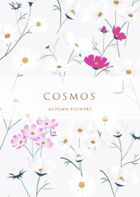 violet tylish cosmos 04_2