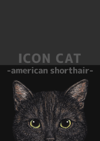 ICON CAT - American Shorthair - BLACK/03