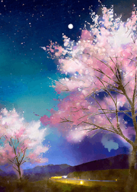 Beautiful night cherry blossoms#837