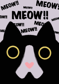 แมวตากลมๆ