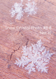 Snow Crystal Photo #8-8Not AI