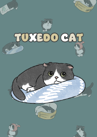 tuxedocat5 / cadet blue