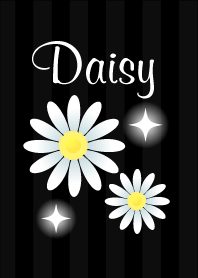 Daisy-2 black