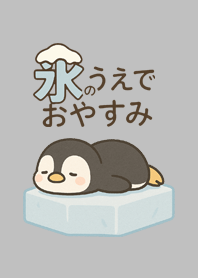 Penguin rests on the ice_G8