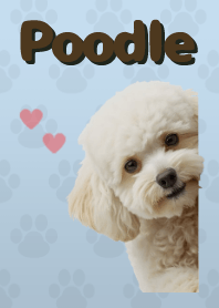 ธีมพุดเดิ้ลทอย B/W 04