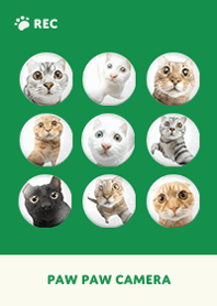 ネコカメラ - グリーン 01