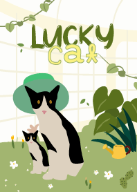 lucky cat girl