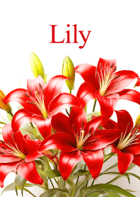 "Lily vol.7" theme