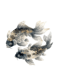 Dual Flow: Ink Wash Kin-Gin Koi
