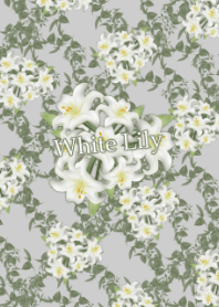 White Lily -Elegant-