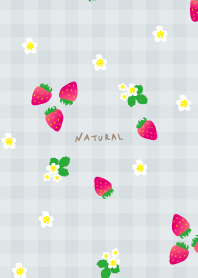 Strawberry plaid pattern30 from Japan