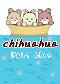 chihuahua21 theme light blue