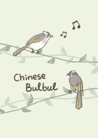 枝條上的白頭翁