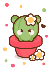 I love baby bear cactus 5