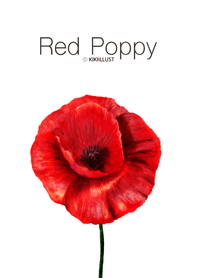 Red poppy II