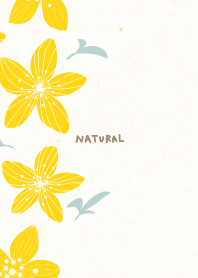 Lily flower left11 from Japan